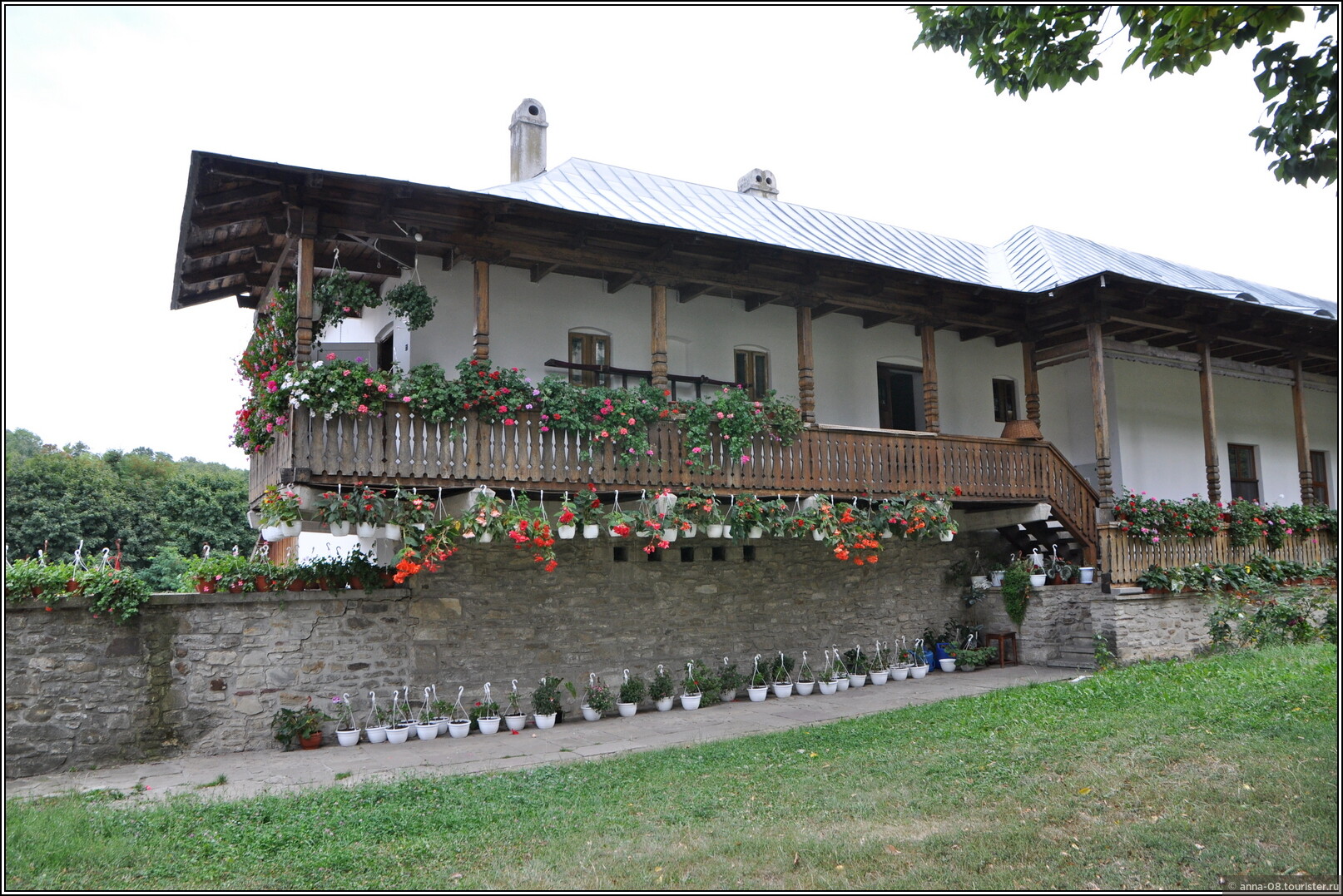 Suceava